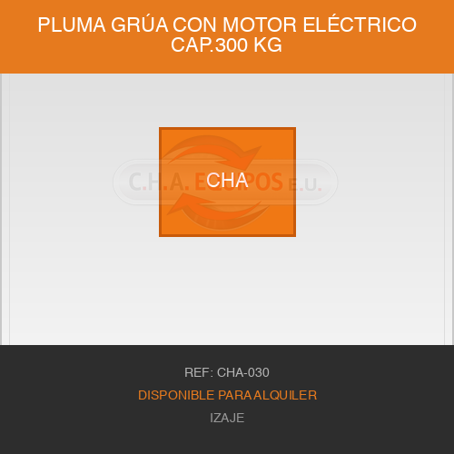 Pluma grúa con motor eléctrico Cap.300 Kg